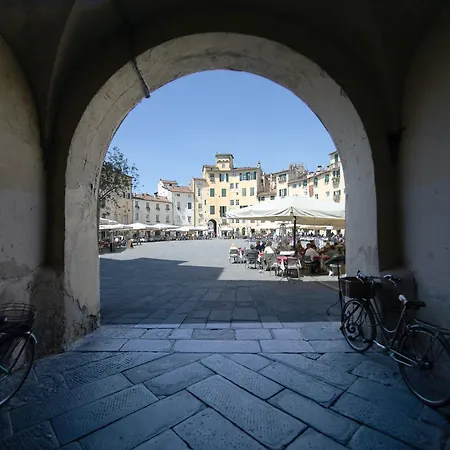 Venus Luxury In Center Town